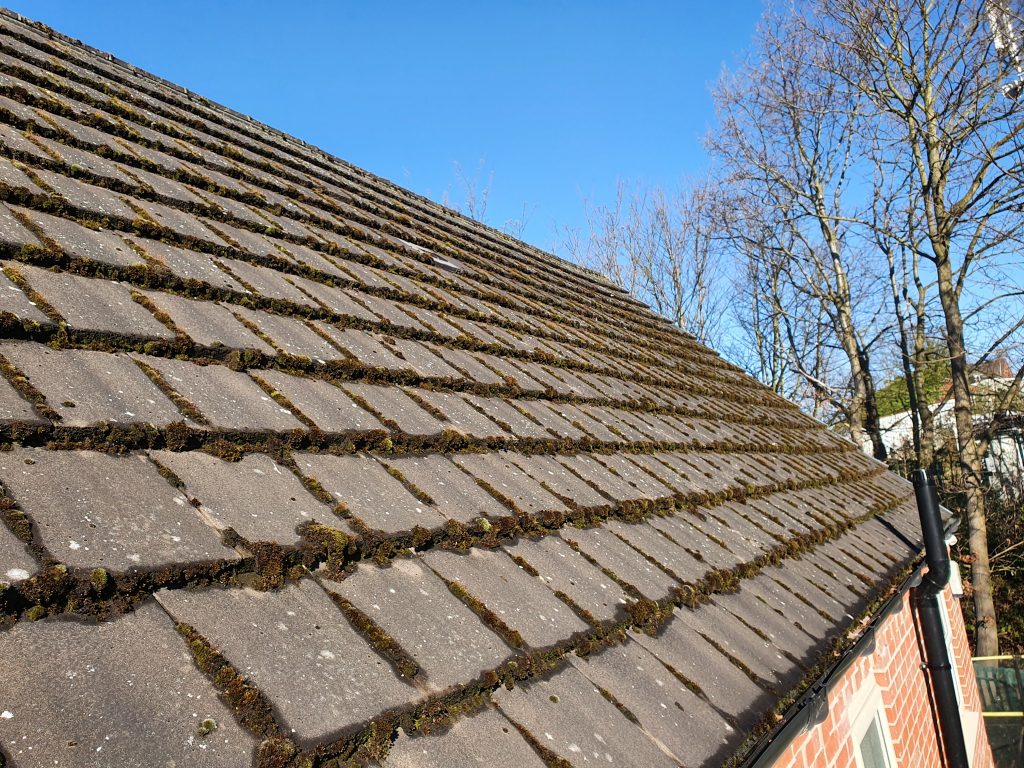 Roof cleaning services south yorkshire